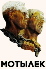 Мотылёк