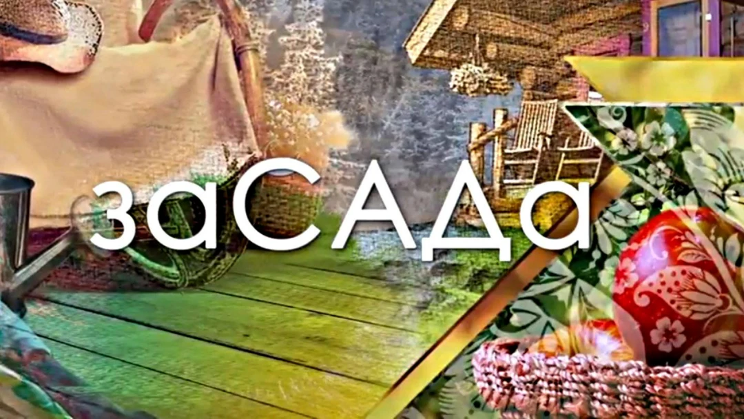 Передача заСАДа