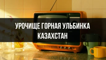 Урочище Горная Ульбинка Казахстан