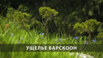 Ущелье Барскоон