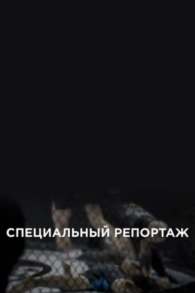 Специальный репортаж