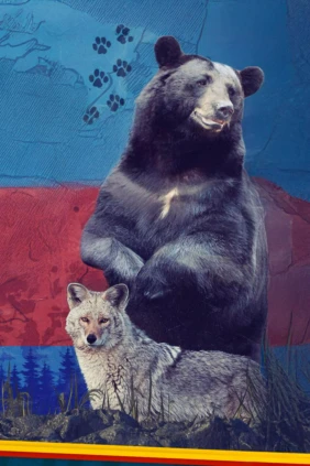 Животные Соединённых Штатов. Лучшее