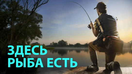 Здесь рыба есть