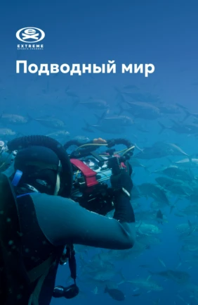 Подводный мир