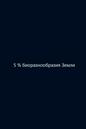 5 % биоразнообразия Земли
