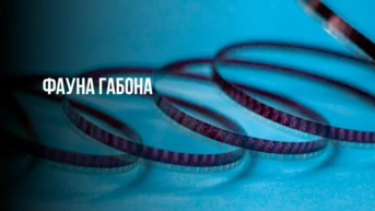 Фауна Габона