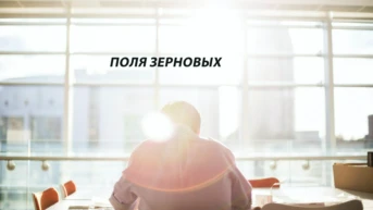 Поля зерновых
