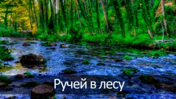 Ручей в лесу