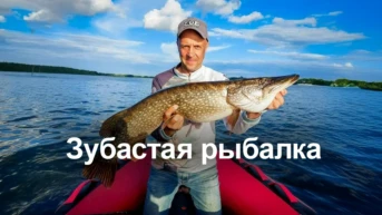 Зубастая рыбалка
