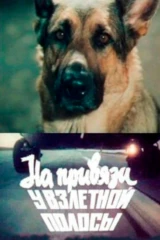 На привязи у взлётной полосы