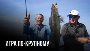 Игра по-крупному