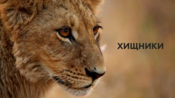 Хищники