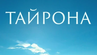 Тайрона