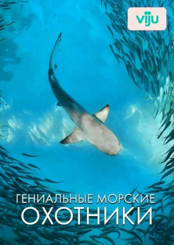 Аляска / Норвегия