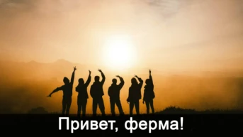 Привет, ферма!