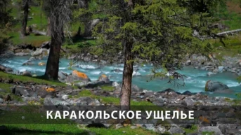 Каракольское ущелье