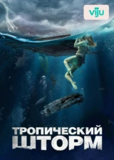 Тропический шторм