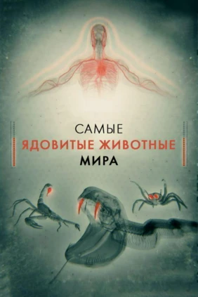 Самые ядовитые животные мира