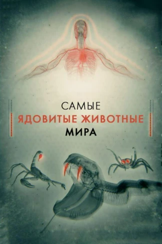 Самые ядовитые животные мира
