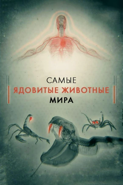 Самые ядовитые животные мира