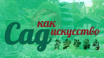 Сад как искусство