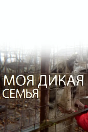 Моя дикая семья