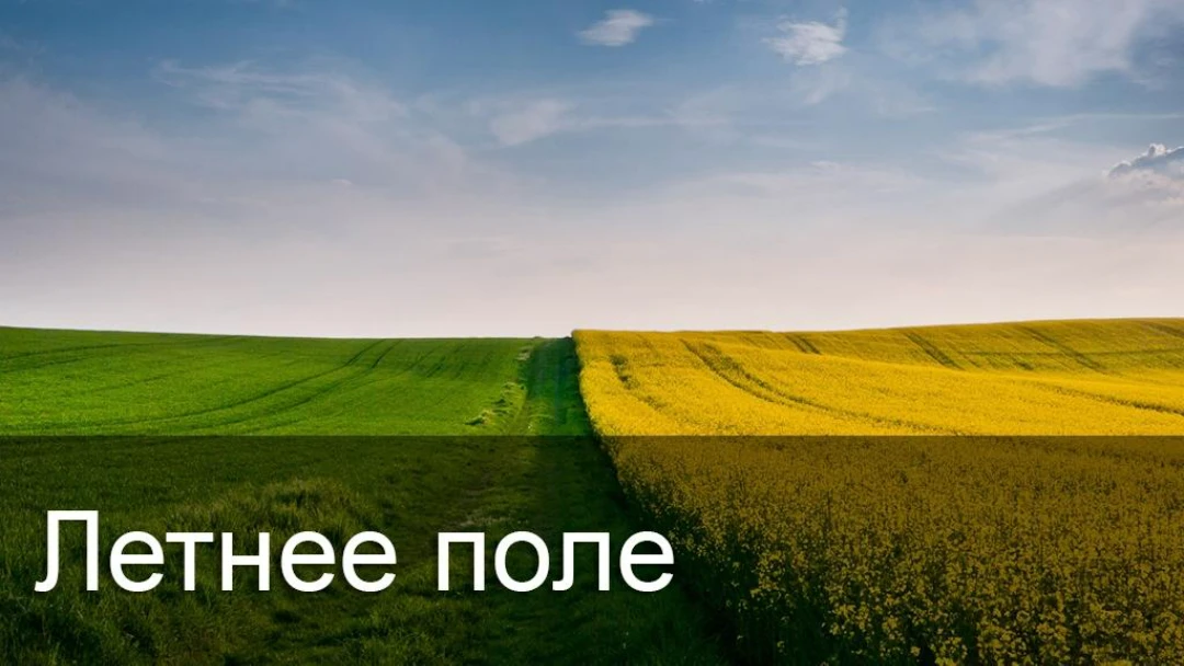Передача Летнее поле