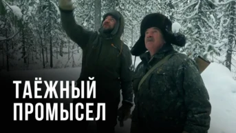 Таёжный промысел