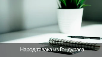 Народ тавака из Гондураса
