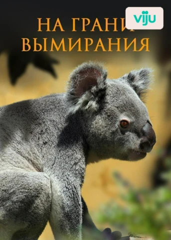 1 серия