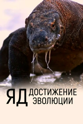 Яд. Достижение эволюции