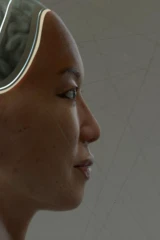 Искусственное бессмертие