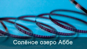 Солёное озеро Аббе