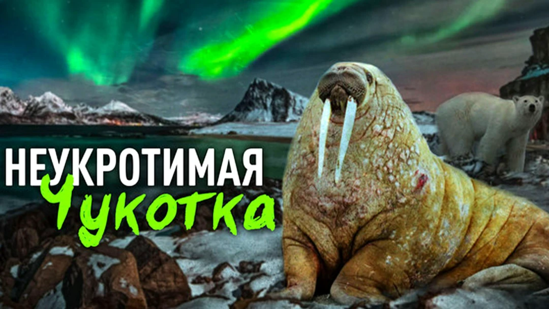 Фильм Неукротимая Чукотка