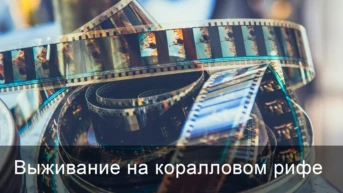Выживание на коралловом рифе