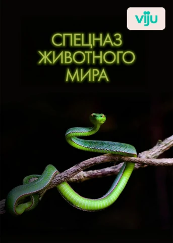 Элитные войска