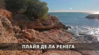 Плайя де Ла Ренега