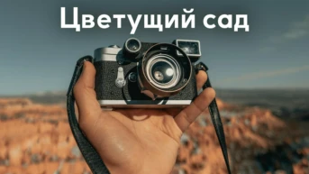 Цветущий сад