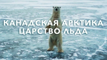 Царство льда Канадской Арктики