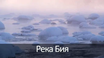 Река Бия