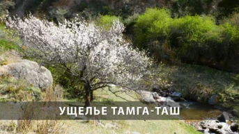 Ущелье Тамга-Таш