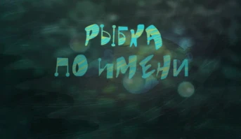 2-я серия