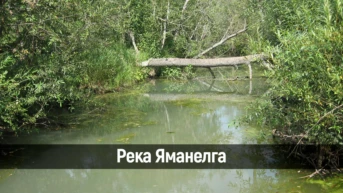 Река Яманелга