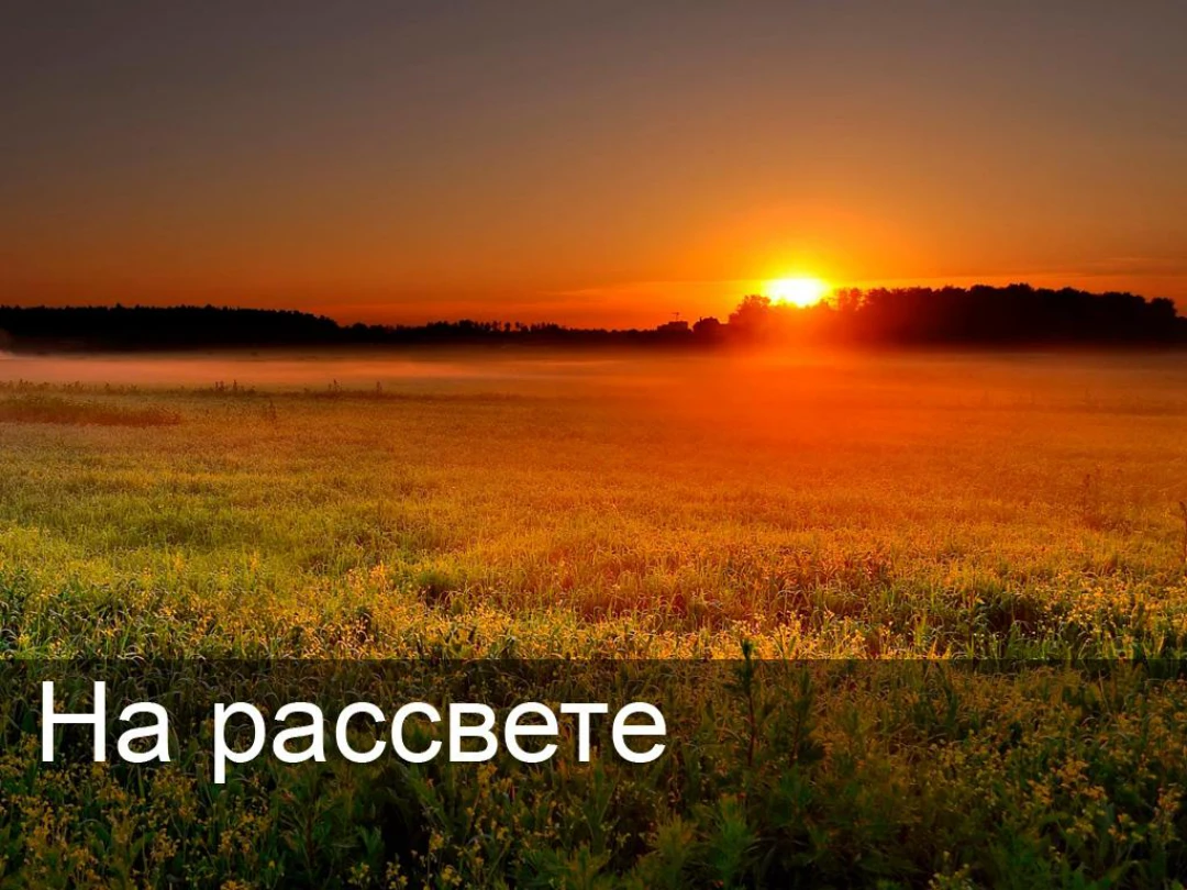Передача На рассвете