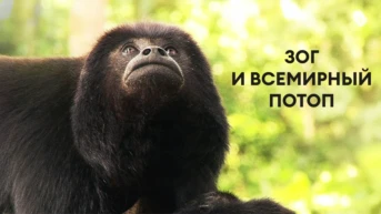 Зог и всемирный потоп
