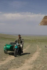 Дикое поле