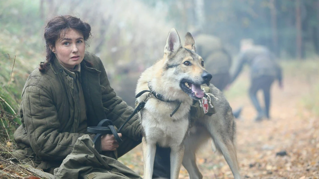 Сериал Дина и Доберман
