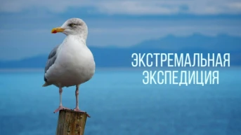 Экстремальная экспедиция