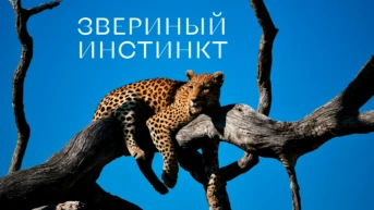 Звериный инстинкт