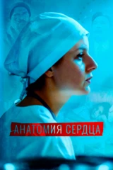 Анатомия сердца